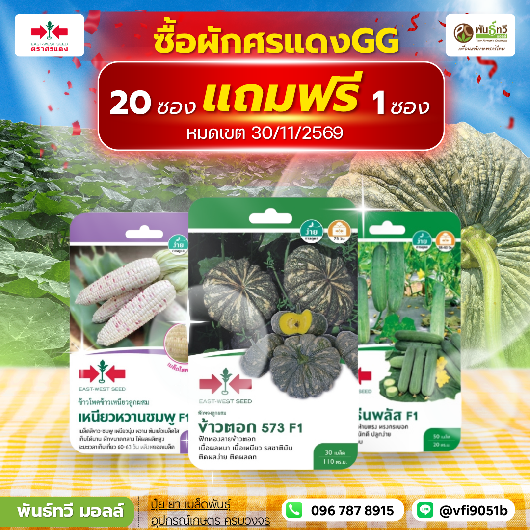 ศรแดงปลีก 20+1